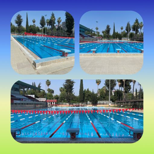 olimpik havuz kulvar seperator toptan